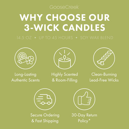 Under the Palms 3-Wick Candle